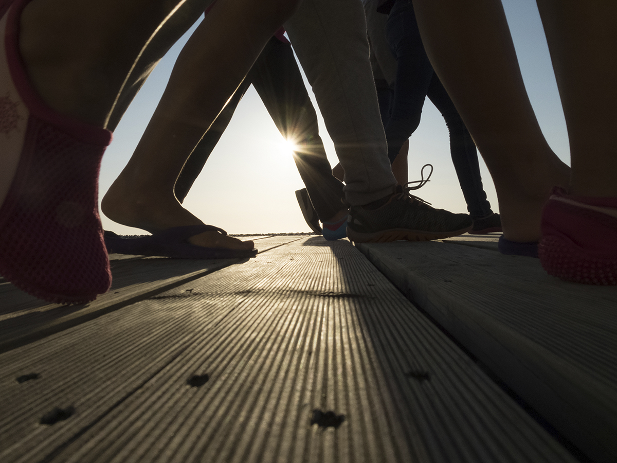 Les Planches