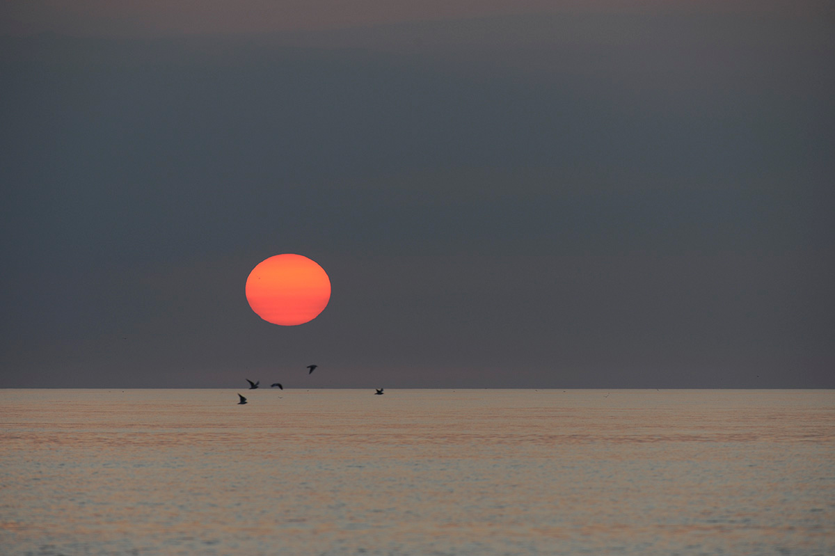 Baie de Somme